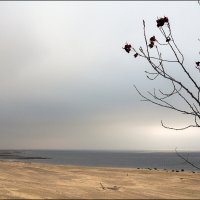 Осень :: **** vedin