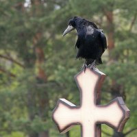 Заезжал сегодня... :: Андрей Катков