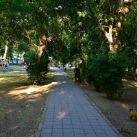 Феодосия. Дорожка Морсада летним утром. :: Пётр Чернега Феодосия. Дорожка Морсада летним утром. :: Пётр Чернега