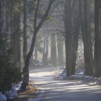 Утром весенним....... :: Юрий Цыплятников Утром весенним....... :: Юрий Цыплятников