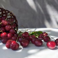 Черешня :: Валентина Богатко Черешня :: Валентина Богатко
