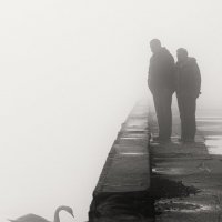 Туманные встречи. :: Анатолий Щербак Туманные встречи. :: Анатолий Щербак