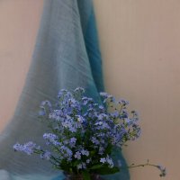 Букетик нежных незабудок. :: Наталья Соколова