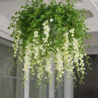 Любимые цветы :: МАРИЯ ПОПОВА