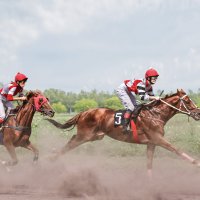 Скачки :: SanSan 