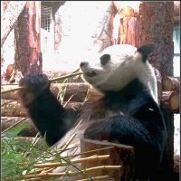 Перекус! :: Ольга Довженко Перекус! :: Ольга Довженко
