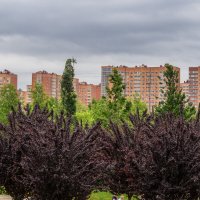 Парк Галицкого :: Игорь Сикорский Парк Галицкого :: Игорь Сикорский