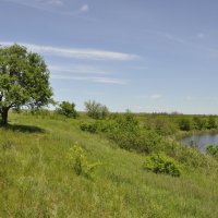 Местные зарисовки. :: Виктор 