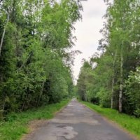 Лесная дорога :: Ирэн Лесная дорога :: Ирэн