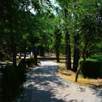 Феодосия. Извилистая аллея Комсомольского парка. :: Пётр Чернега Феодосия. Извилистая аллея Комсомольского парка. :: Пётр Чернега