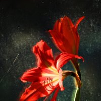 Растительная жизнь. Весна :: Андрей Литов