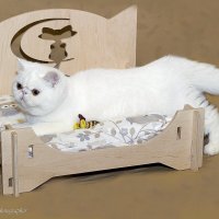 Зося :: Светлана Ищенко