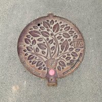 Крышка люка "Дерево". СПб. :: Ирина ***