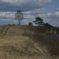 Весенний пейзаж :: Елена Kурочкина Весенний пейзаж :: Елена Kурочкина