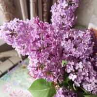Сиреневый цвет :: Елена Семигина