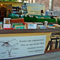 Книги, как парашюты. Они не принесут вам никакой пользы, пока закрыты! :: Надежда 