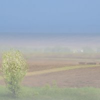 Дымка... :: Влад Никишин