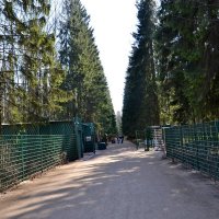 ПАВЛОВК. :: Виктор Осипчук ПАВЛОВК. :: Виктор Осипчук