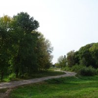 За городом :: PRP За городом :: PRP