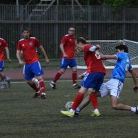 Красно-синие, самые сильные! :: Наталья Вязигина
