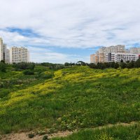 Ростовские зарисовки :: Александр Гапоненко