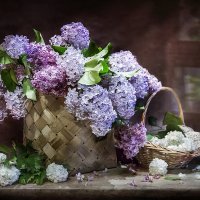 Её душистый аромат... :: Bosanat Её душистый аромат... :: Bosanat