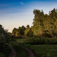 Майское утро :: Петр 