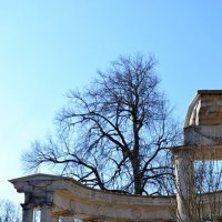 ПАВЛОВСК. :: Виктор Осипчук ПАВЛОВСК. :: Виктор Осипчук