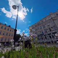 Ни одно параллельной линии. :: Лютый Дровосек