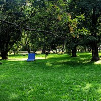 *** :: Александр 