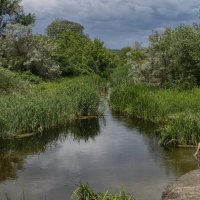 На реке :: Мариша Тим