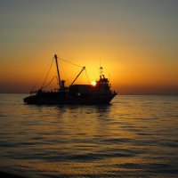 закат на море :: Елена Шаламова