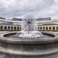 Одуванчик :: Евгений 