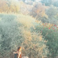 14  КЛОС (289) :: CLOSE WAYS ALL