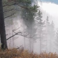 Утренний туман :: Марина Фомина. Утренний туман :: Марина Фомина.