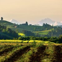 summer view :: Elena Wymann