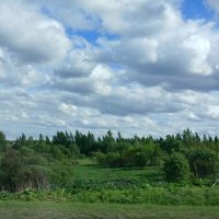 Дорожные впечатления :: Наталья Герасимова