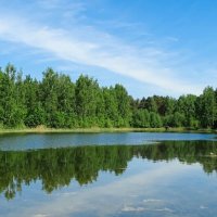 Весна в конце мая. :: Милешкин Владимир Алексеевич Весна в конце мая. :: Милешкин Владимир Алексеевич