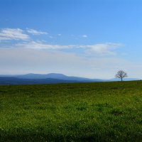 Пейзаж :: Милорад 