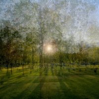. :: anton laba 