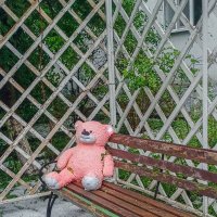 Мишку бросила хозяйка :: Игорь Сарапулов