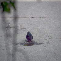 "Колодец, колодец, дай воды напиться..." :: Олег 