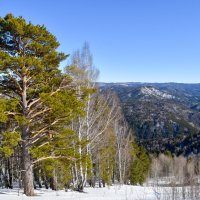 Тишина :: Владимир Звягин Тишина :: Владимир Звягин