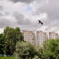 Весна уже дышит в спину. :: Татьяна Помогалова Весна уже дышит в спину. :: Татьяна Помогалова