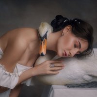 Лебёдушки :: Юрий Захаров Лебёдушки :: Юрий Захаров