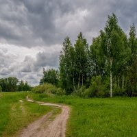 Перед дождем 2 :: Андрей Дворников