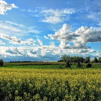 Май. :: Владимир Май. :: Владимир