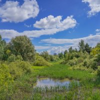 В конце мая... :: Владимир Жданов
