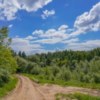 В конце мая... :: Владимир Жданов
