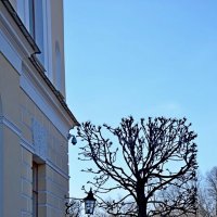 ПАВЛОВСК. :: Виктор Осипчук ПАВЛОВСК. :: Виктор Осипчук